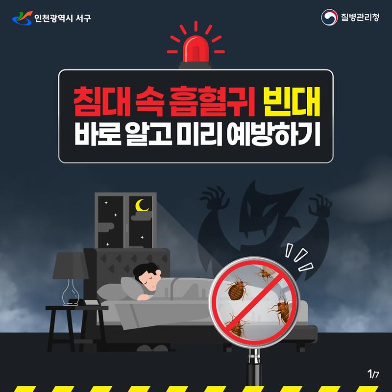 침대 속 흡혈귀 빈대 바로 알고 미리 예방하기 사진