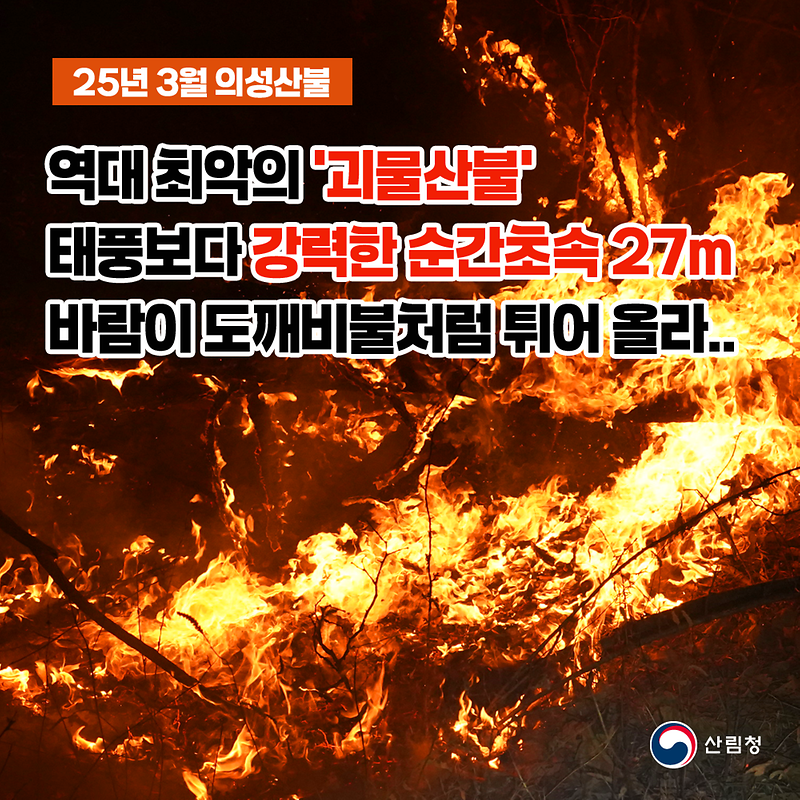 산불 카드뉴스 사진