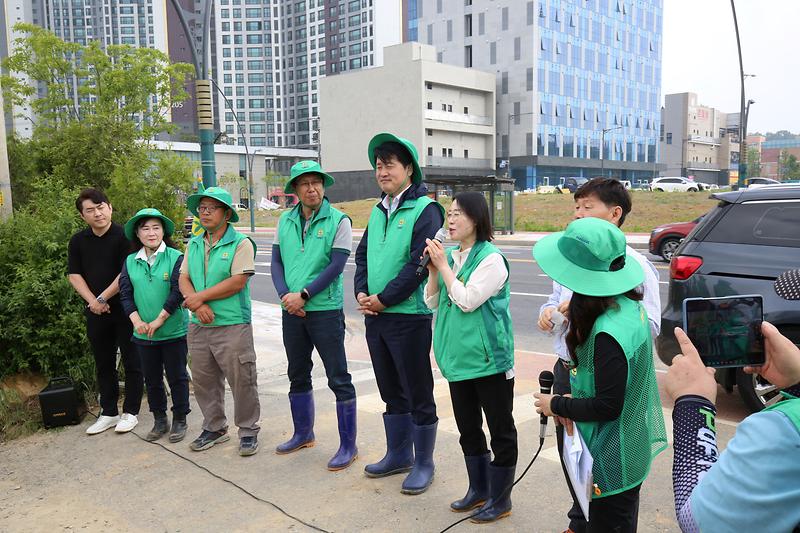 서구새마을회 휴경지경작 고구마순 심기(2024.05.21.) 사진