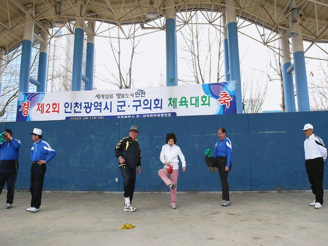 인천광역시군구 체육대회 사진
