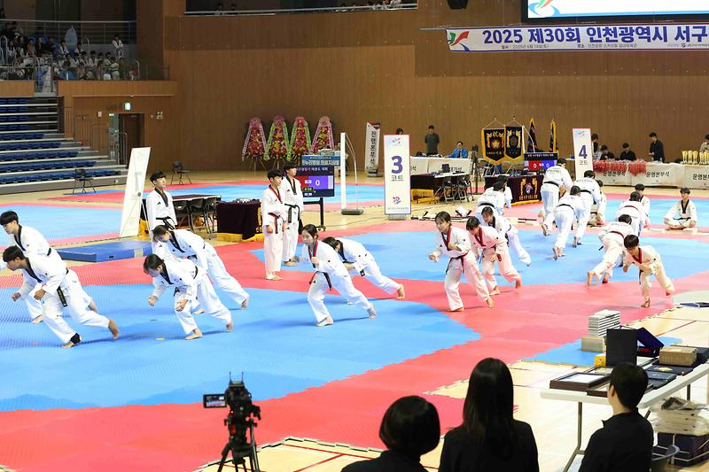 제30회 인천광역시 서구청장배 태권도 대회(2025.06.14.) 사진