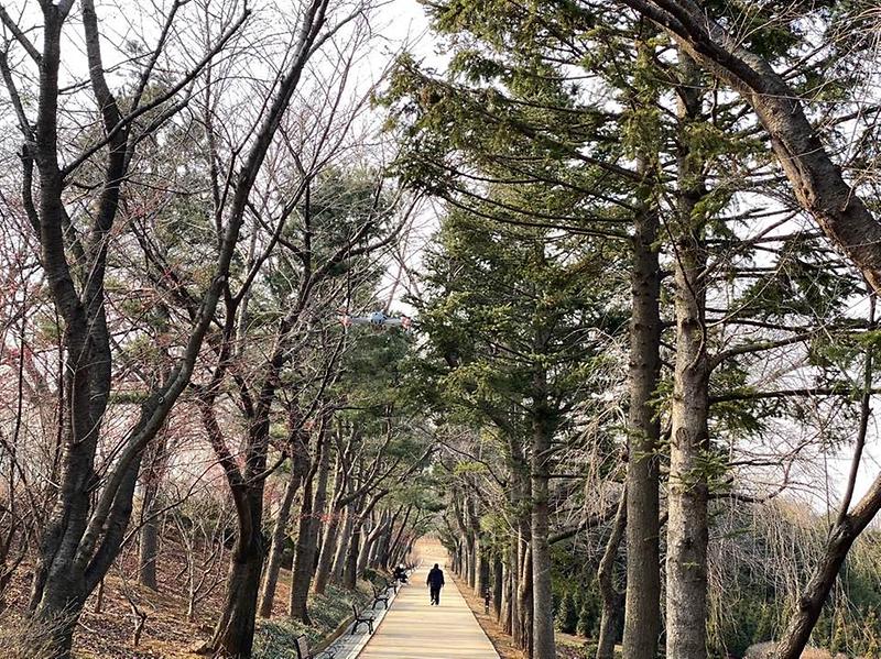 청라노을길 둘레길 사진4