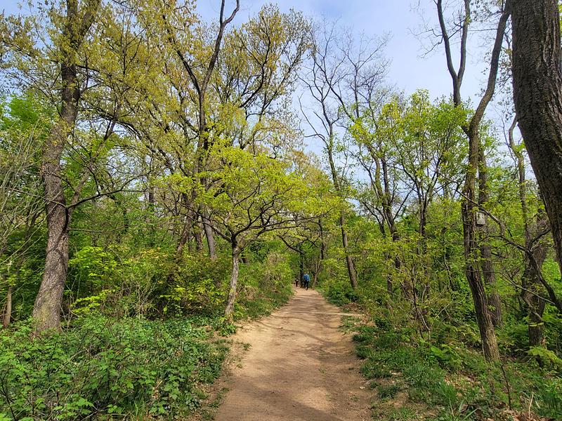 서곶근린공원 방면 사진7