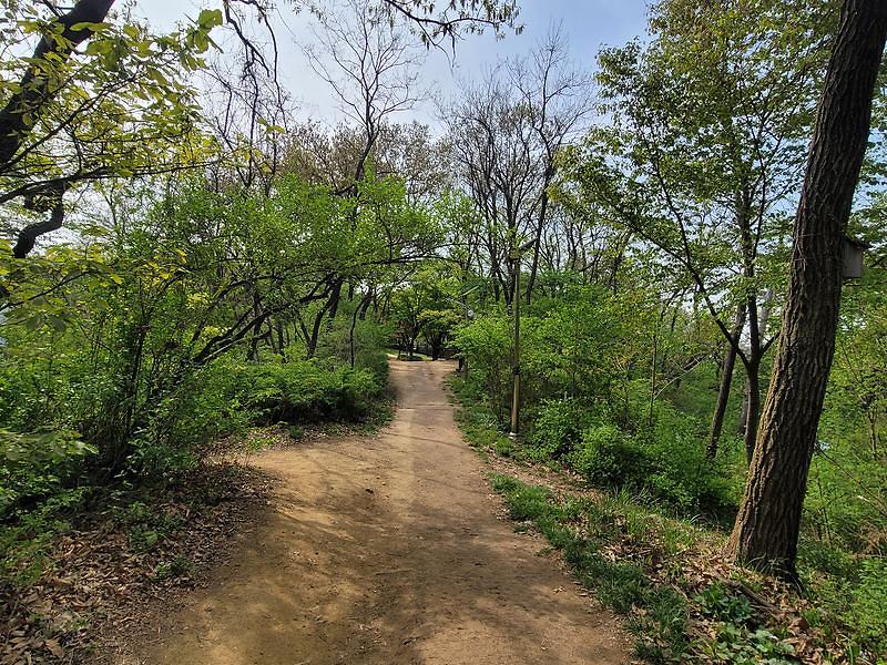 서곶근린공원 방면 사진6