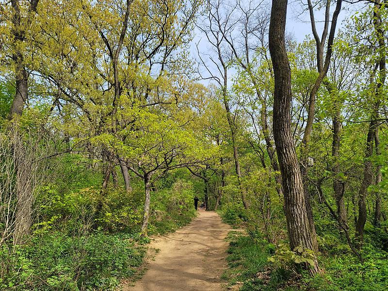 서곶근린공원 방면 사진4