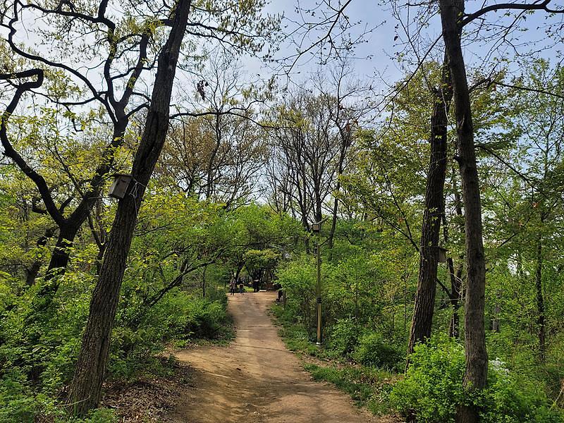 서곶근린공원 방면 사진3