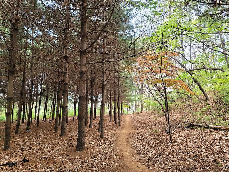 검암신명~은지초 방면 사진1