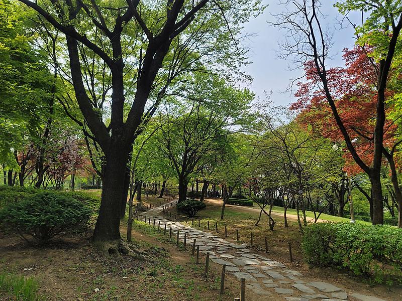 서곶근린공원 사진2
