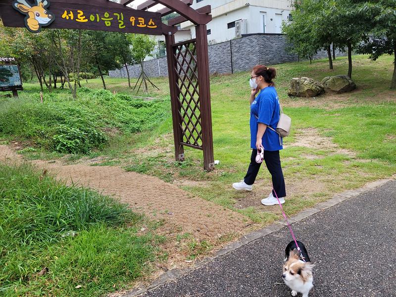 함께걸어요 이미지