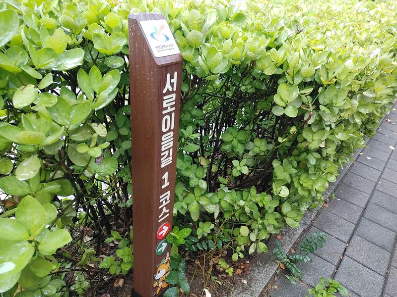 2022.10.03. 비오는 개천절에 서로이음길을 걷다 사진7