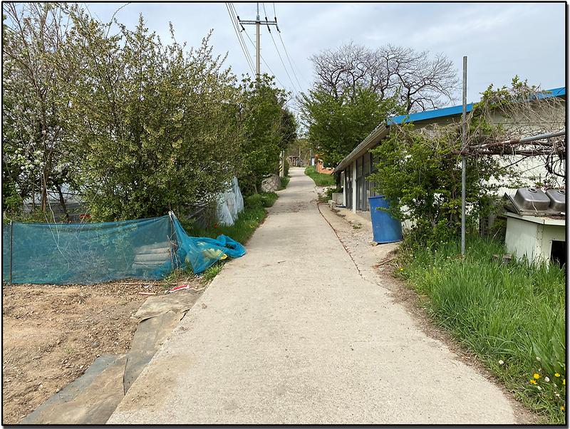 이 능선 길을 따라가면 세어도 끝에 전망대가 나오는데 해암정이라는 이름의 정자가 나옵니다. 조금 단순하게 쉽게 다녀갈 수 있겠지만, 어렵게 찾아온 여행인데 세어도 주변으로 둘레길을 만들어 이곳 세어도를 찾는 관광객에게 세어도 에선 일출과 일몰을 함께 볼 수 있는 유일한 섬이라는 것을 알리기 위해서 둘레길을 만들지 않았나 싶은 생각도 듭니다. 이미지