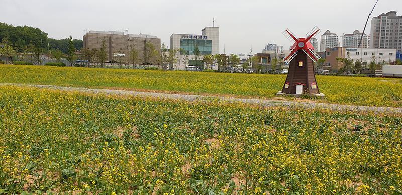 20190525_103014.jpg 이미지