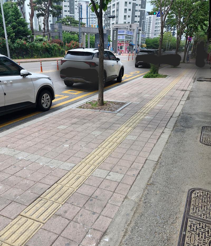 20260519_115142.jpg 이미지