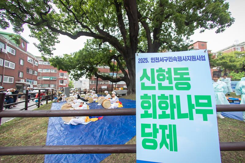 20250607 신현동 회회나무 당제 사진