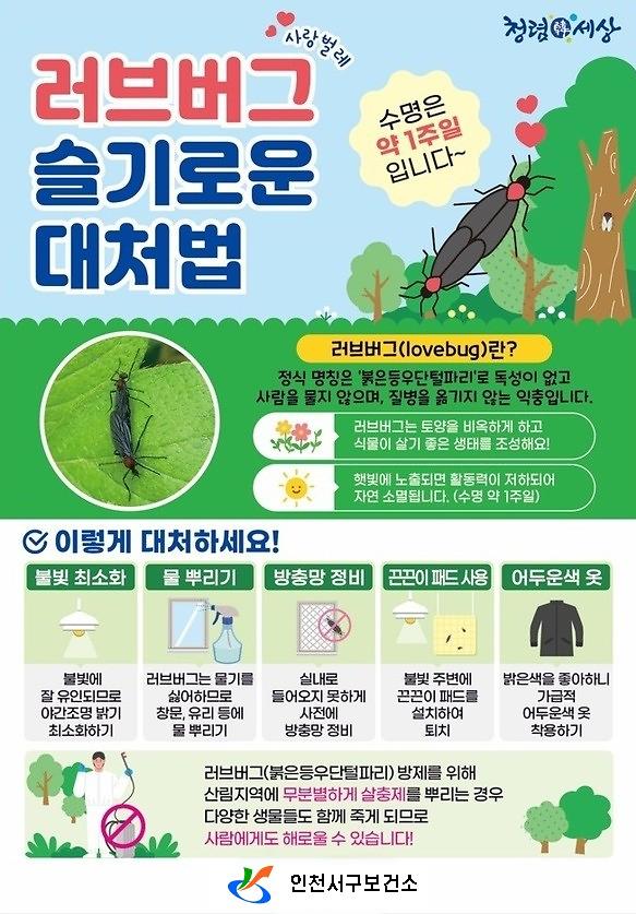 (홍보용)_러브버그_슬기로운_대처법.jpg 이미지