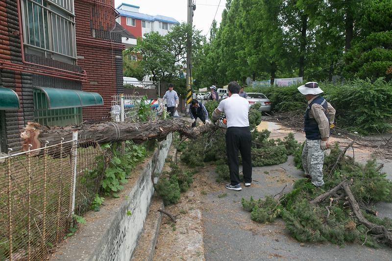 20180709 가좌4동 재난대비 사전 나무제거 작업_가좌1동_가좌1동 사진