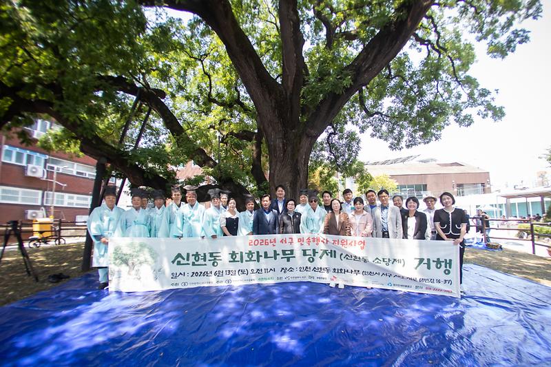 20260613 신현동 회화나무 소당제 사진