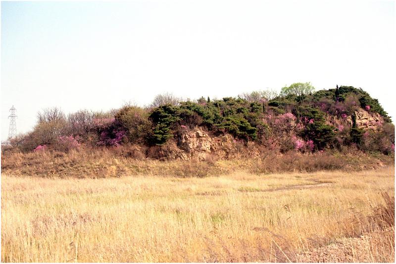 20020617000000_34444.jpg 이미지