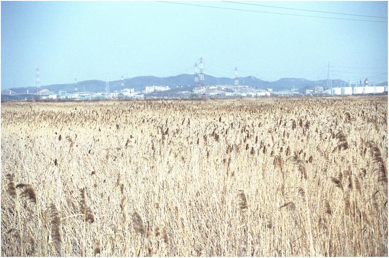 청라도 주변 사진