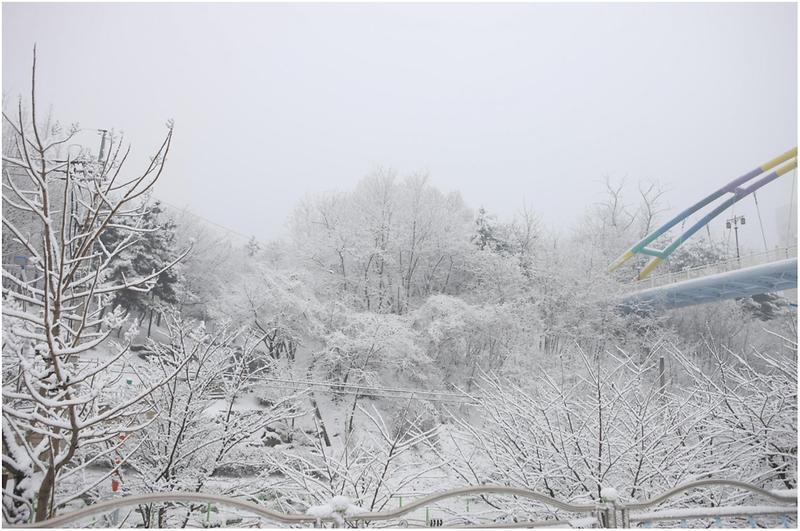 20110128153105_83215.jpg 이미지