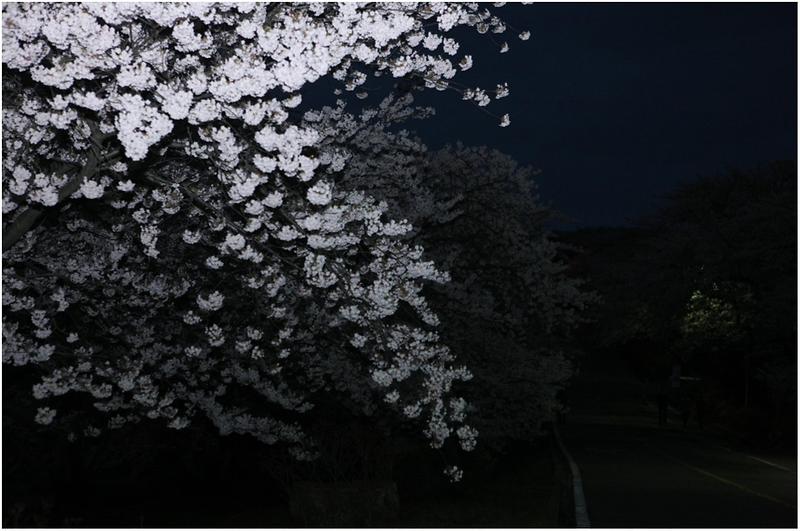 20110502100158_93339.jpg 이미지