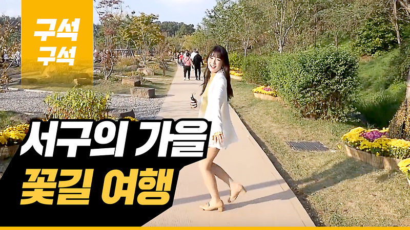 [2019 우리동네 구석구석 9회] - 서구의 가을 꽃길 여행 사진