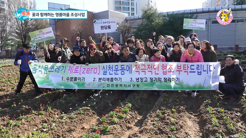 [2019 서구톡톡 05회] - 꽃과 함께하는 명품마을 조성사업 사진