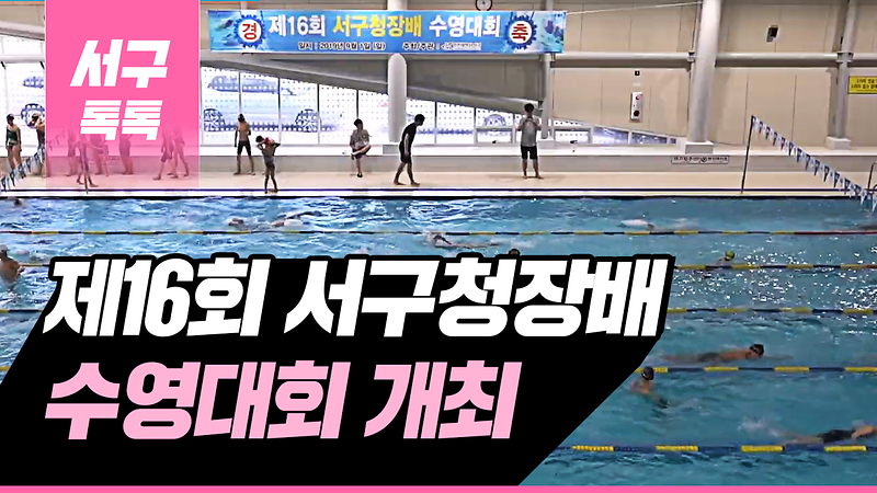 [2019 서구톡톡 36회] - 제16회 서구청장배 수영대회 개최  사진
