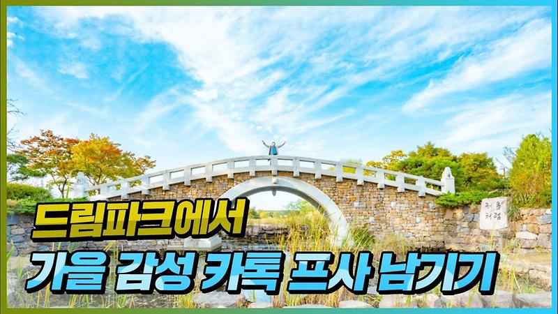 가을가을하네!! 여기가 가을 사진 맛집인가? 서구 드림파크 가을 포토존 핫스팟 BEST 6 사진