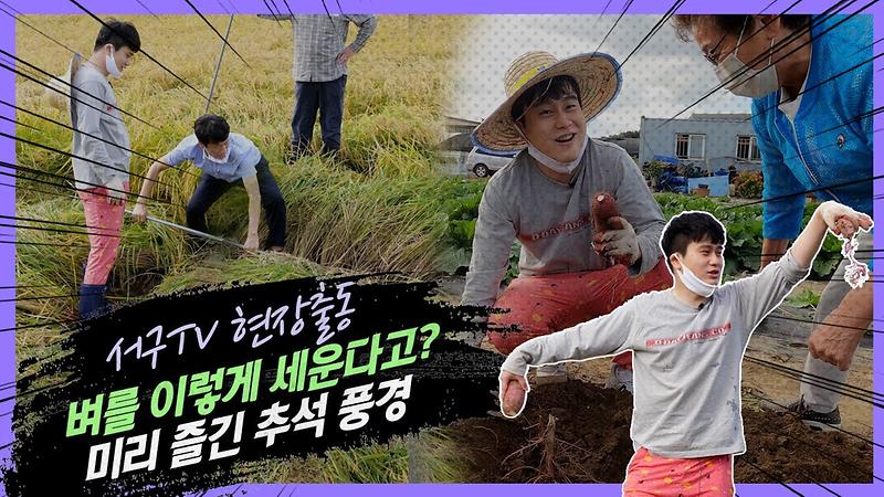 벼세우기? 고구마, 땅콩캐기? 귀농이 꿈이었던 한 공무원의 필사적 노력 추석 미리 보내드림 사진
