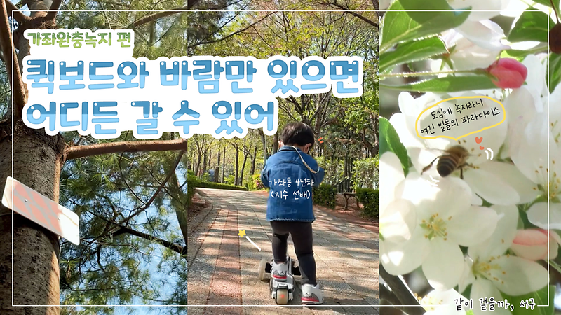 [같이 걸을까, 서구] 퀵보드와 바람만 있으면 어디든 갈 수 있어 사진