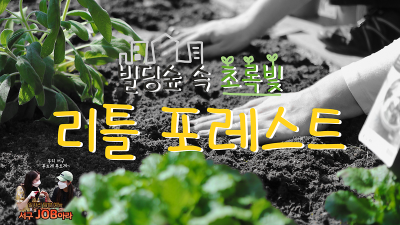 [서구잡(JOB)아라] 빌딩숲 속 초록빛 '리틀 포레스트' 사진