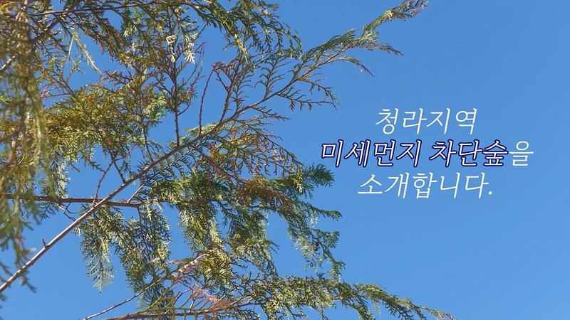 청라지역 미세먼지 차단숲을 소개합니다 사진