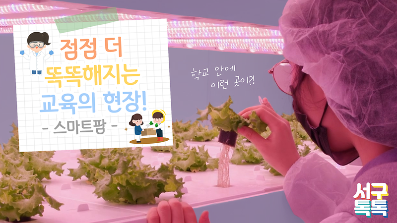 [서구톡톡] 점점 더 똑똑해지는 교육의 현장! -스마트팜- 사진