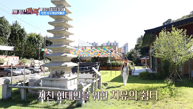 <OBS 매거진 톡톡> 인천서구 가을나들이 사진