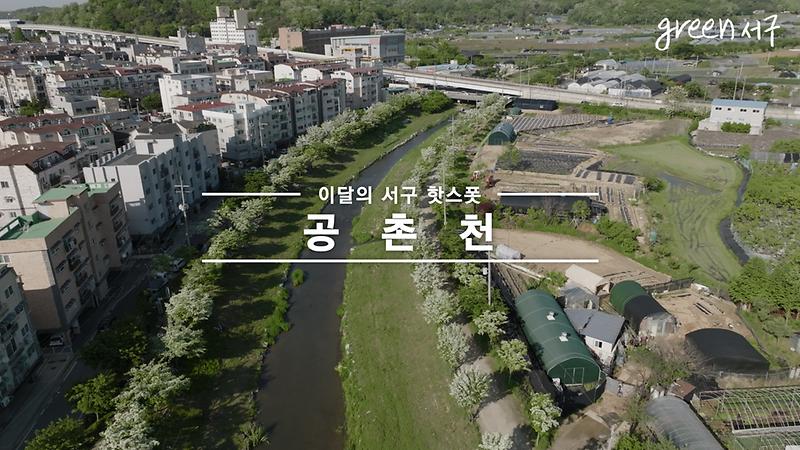 <Green 서구> 이 달의 스폿 영상 사진