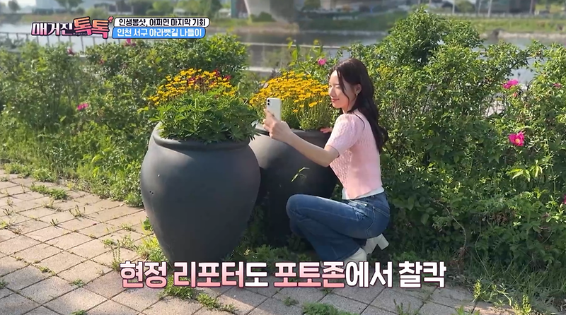 OBS 매거진 톡톡 <서구 아라뱃길 편> 사진