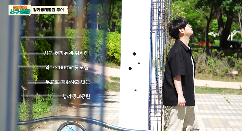 <함께해요 서구생활> 서구 피크닉 투어 사진