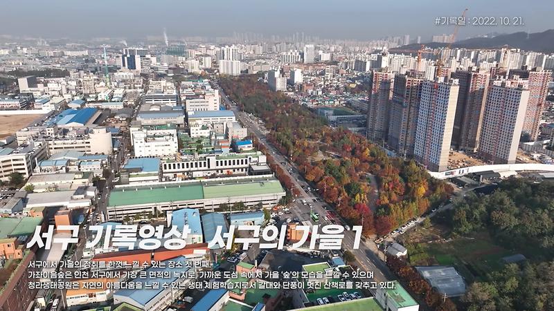 [서구, 오늘의 기록] 서구의 가을 1 (가좌이음숲, 청라생태공원) 사진