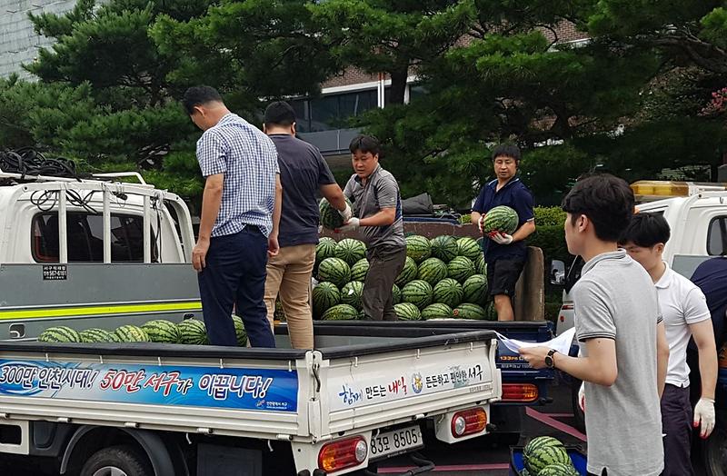 2_서구중소기업경영자협의회_말복맞이_수박나눔_행사.jpg 이미지