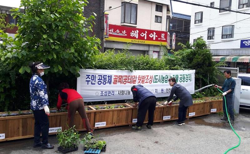 서구_구도심지역_회색도시를_그린도시로_탈바꿈.jpg 이미지