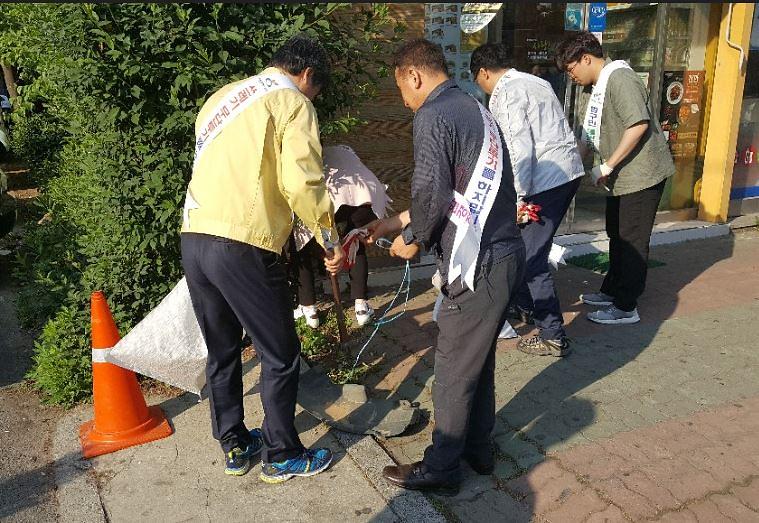 서구,_깨끗한_도시환경조성을_위한_특별환경정비_실시.jpg 이미지