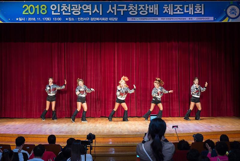 3_2018_인천광역시_서구청장배_체조대회_큰_호응2.jpg 이미지