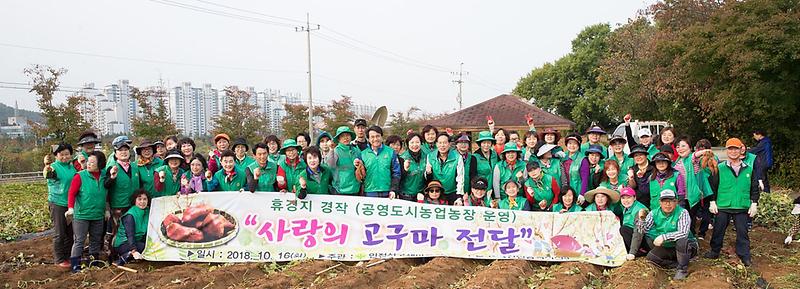 3서구새마을회,_‘사랑_나눔!_고구마!’_수확2.jpg 이미지