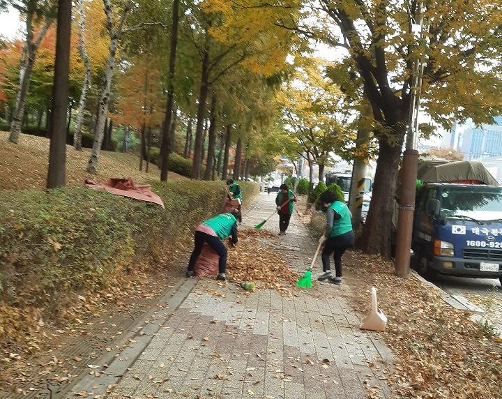 9가좌4동_새마을부녀회,_‘가을_낙엽_대청소’_실시__(2).jpg 이미지