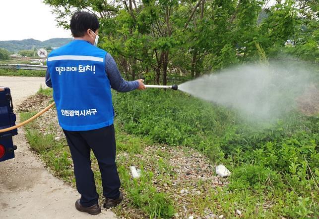 3서구,_여름철_집중방역_위한_민간대행_사업_실시__(1).jpg 이미지