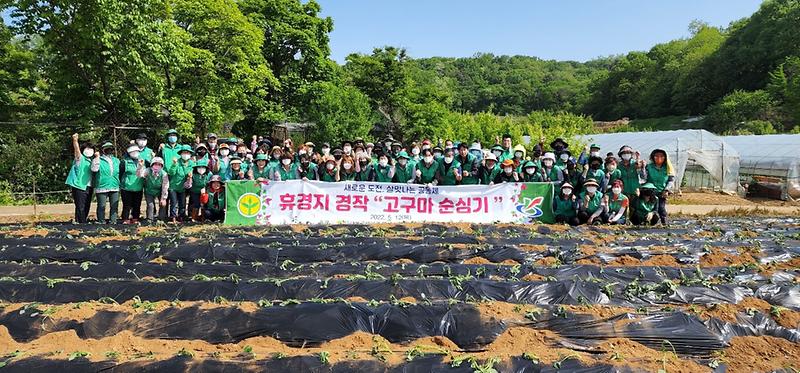 6서구_새마을회,_‘사랑의_고구마_심기’···휴경지_경작_사업__(1).jpg 이미지