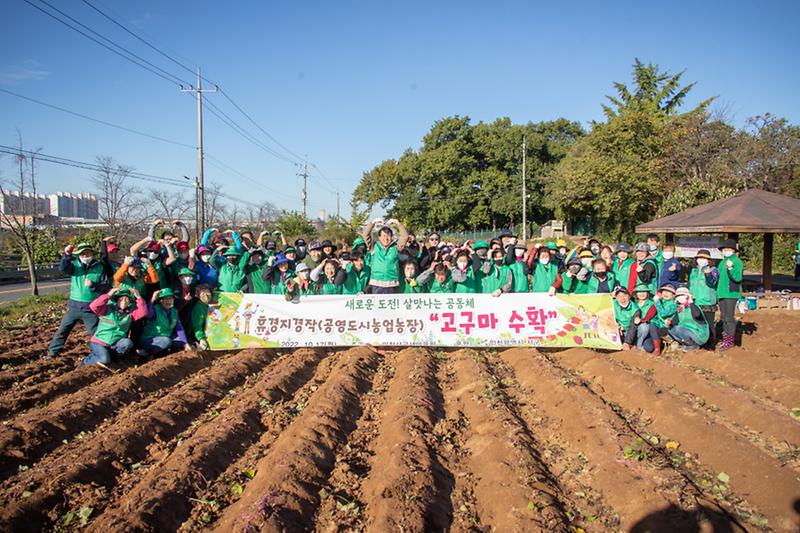 7서구_새마을회,_직접_심어_수확한_고구마_이웃과_나눔__(1).jpg 이미지