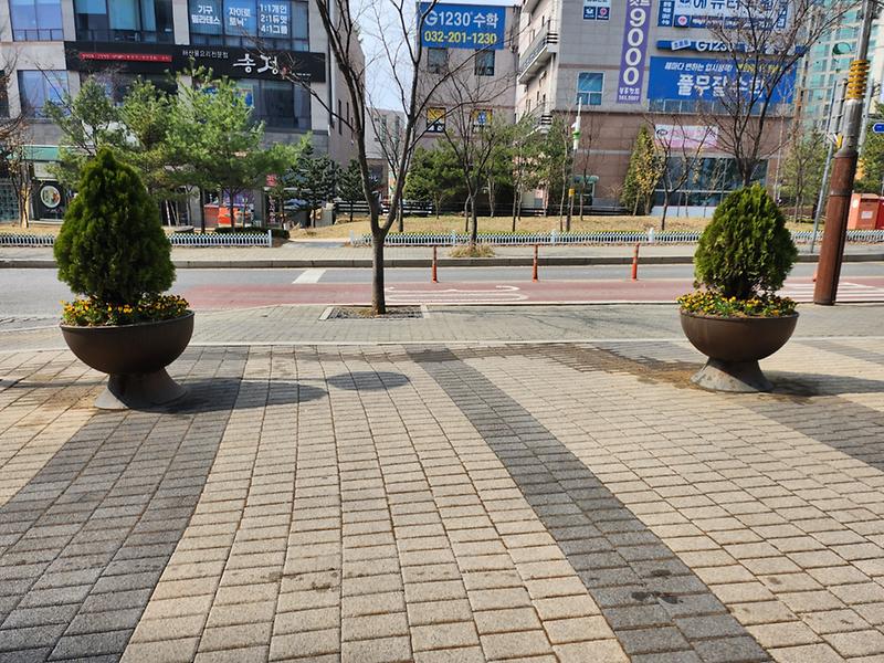 10오류왕길동,_‘꽃과_함께하는_명품마을’···봄꽃_1만4천_본_심어_.jpg 이미지
