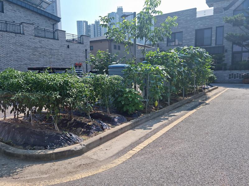 2서구,_“청라_단독주택용지_내_커뮤니티_공간,_주민_의견_반영해_개선”_.jpg 이미지